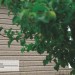 Сайдинг Ю-Пласт TIMBERBLOCK Пихта (Тимберблок) Cахалинская купить в Орехово-Зуеве