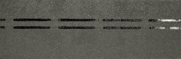 Коньково-карнизная черепица Docke Premium, авокадо купить в Орехово-Зуеве