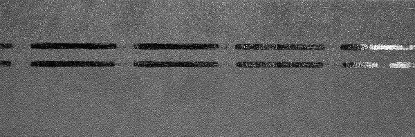 Коньково-карнизная черепица Docke Premium, черника купить в Орехово-Зуеве