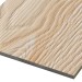Фиброцементные панели FCSPRO Decor Wood Лиственница купить в Орехово-Зуеве
